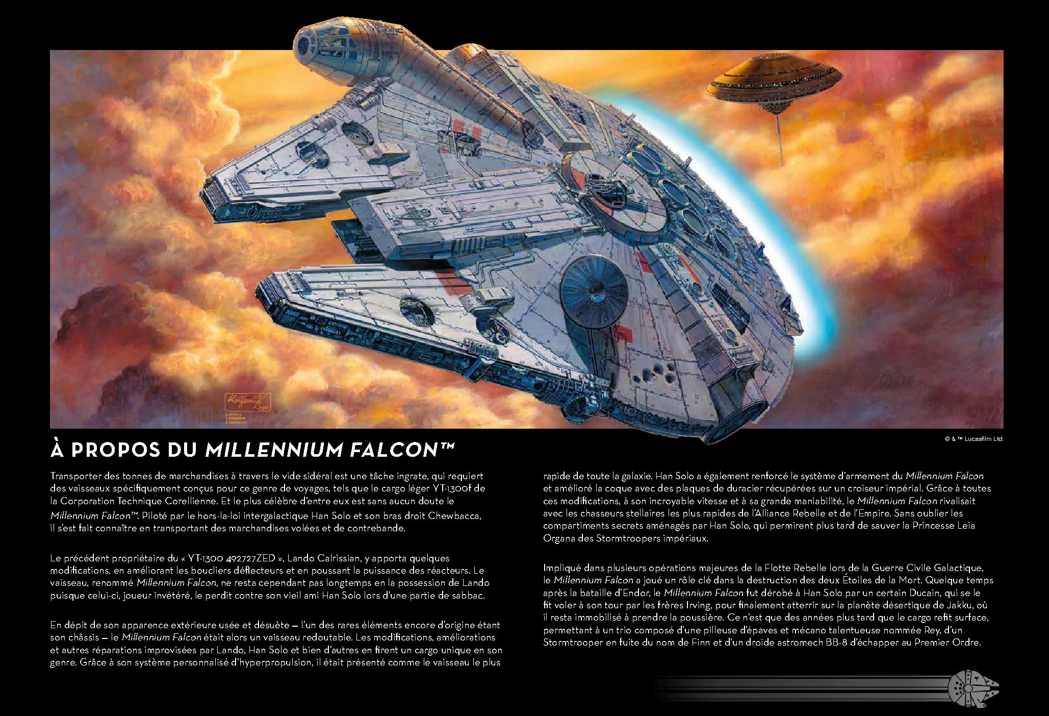 UCS Millennium Falcon 75192 LEGO information LEGO instructions 18 page